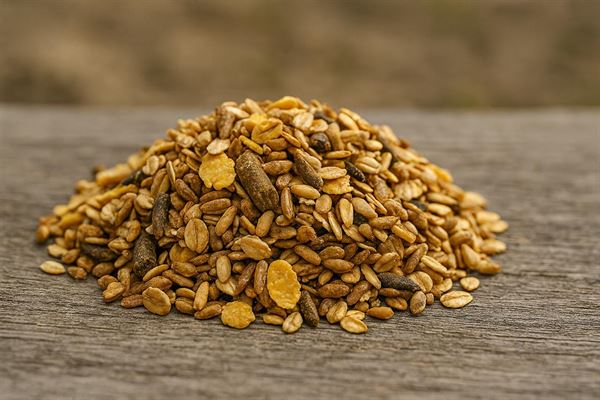 Musli häst - en komplett guide till god och näringsrik hästfoder